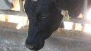 Fotos_14