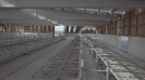 fotos_4