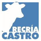 Recria Castro